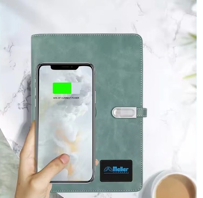 Powerbank Diaries