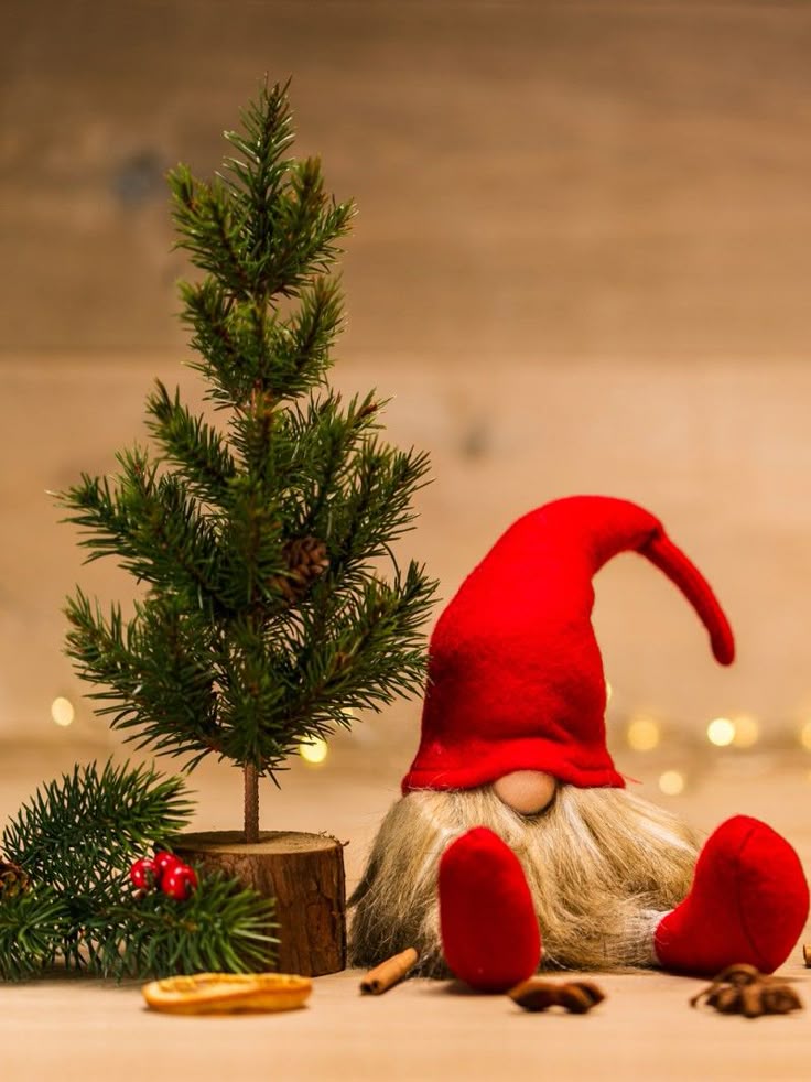 New Year & Christmas 