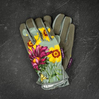 RHS Asteraceae Women's Gardening Gloves