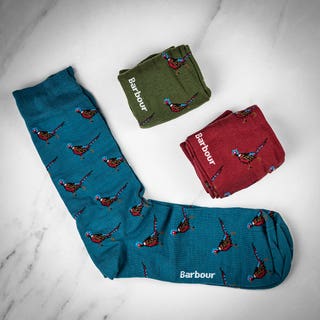 Pheasant Sock Gift Set - Mixed