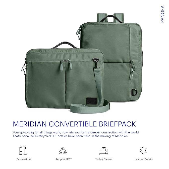 DailyObjects PET Kelp Meridian Convertible Briefpack