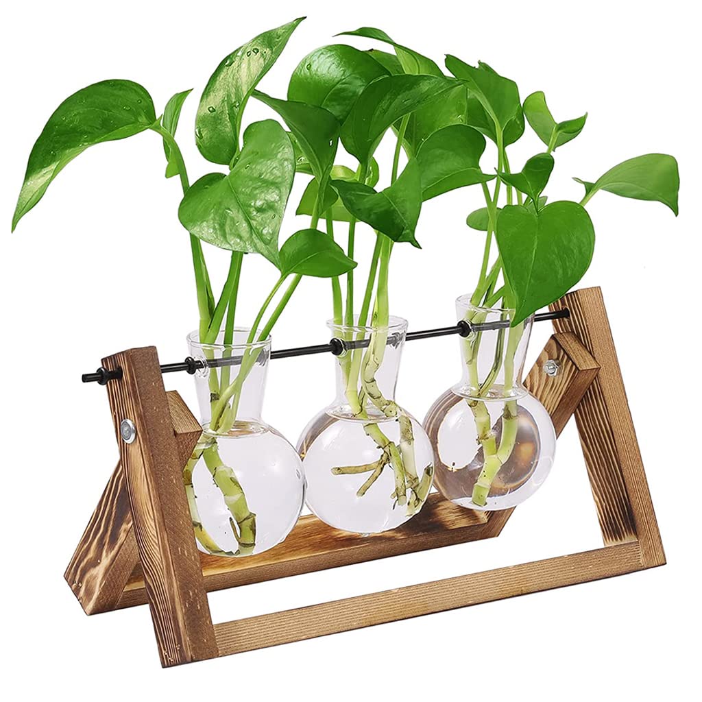 Hydroponic Glass Planter