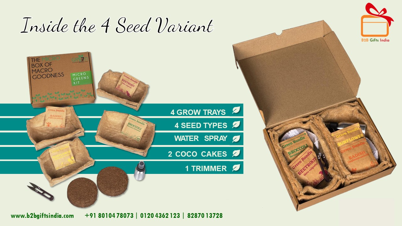 Seed Paper Gift Box Kit