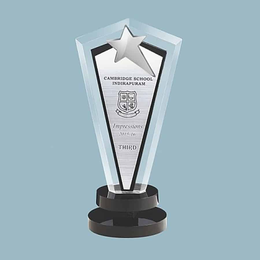 Silver Star Award Trophy